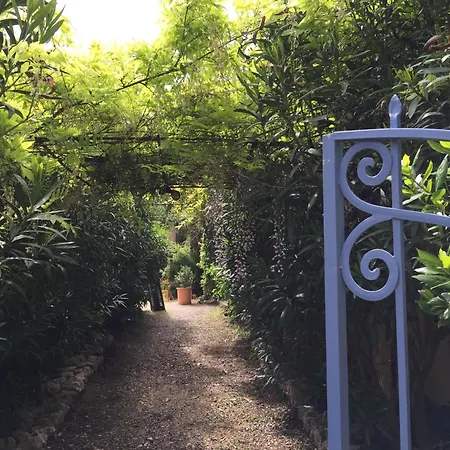 Un Jardin Pres De La Apartman