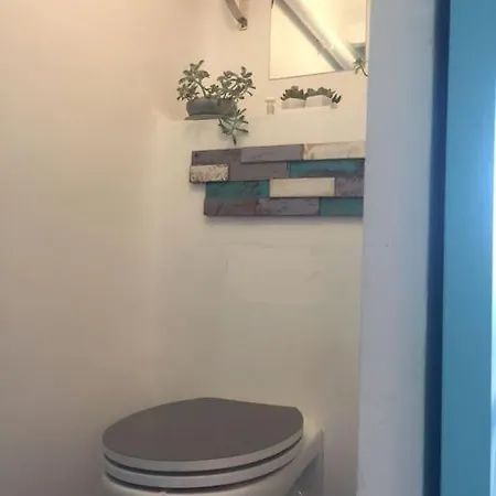 Un Jardin Pres De La Apartman